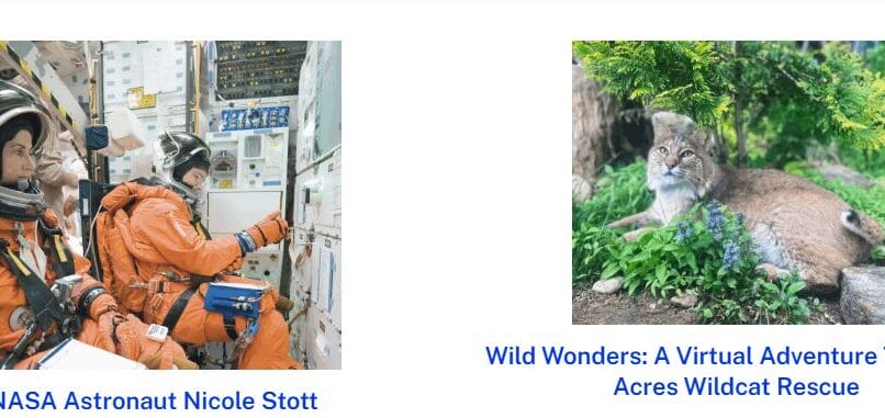 Virtual Competitions